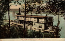 View along the Savannah River