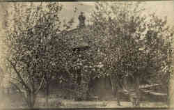 Previous Card