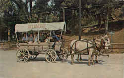 Bella Vista Village