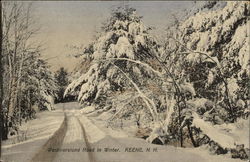 Westmoreland Road in Winter Westmoreland Road in Winter