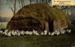 Chickens outside thatch-covered hen house