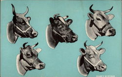 Hoard's Dairyman