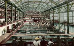 Interior of Sutro Baths