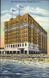The Mayflower Hotel Atlantic City, NJ Postcard Postcard