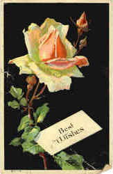 Best Wishes