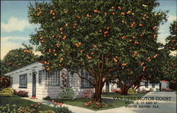 Previous Card