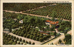 Florida Orange Groves from the Air