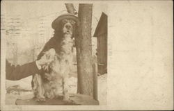 Dog Wearing Glasses and Hat