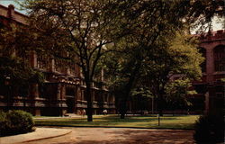 Previous Card