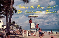 Where The Boys Are