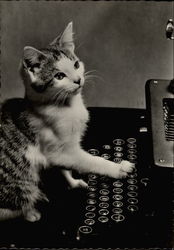 Cat at a Typewriter