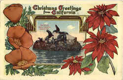 Previous Card