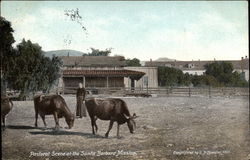 Pastoral scene at the Santa Barbara Mission Pastoral scene at the Santa Barbara Mission