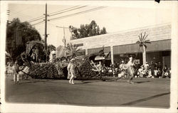 Rose Parade Rose Parade