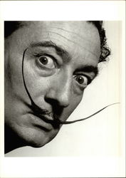 Salvador Dali - But Don't Try to Uncover My Secret, 1954