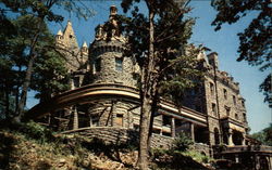 Boldt Castle on Heart Island Thousand Islands, NY Postcard Postcard