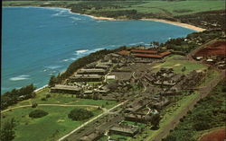 Aerial view of the Coconut Plantation