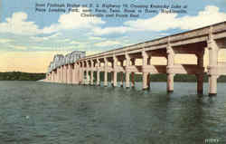 Scott Fitzhugh Bridge Postcard