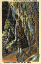 Entrance to Hall of The Gaints, Carlsbad Caverns National Park