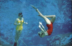 Weeki Wachee "Spring of the Mermaids" Weeki Wachee "Spring of the Mermaids"
