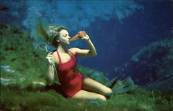 Weeki Wachee "Spring of the Mermaids" Weeki Wachee "Spring of the Mermaids"