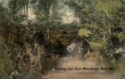 Driving near Four-Mile Creek Driving near Four-Mile Creek