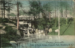 Falls & Rustic Bridge, Prospect Park Falls & Rustic Bridge, Prospect Park