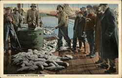 Unloading Fish Unloading Fish