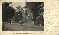 Forster School Forster School