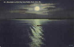 Moonlight on Erie Bay from Public Dock Moonlight on Erie Bay from Public Dock