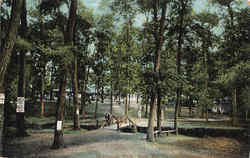 Previous Card