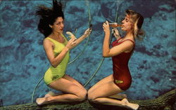 Weeki Wachee Show Weeki Wachee Show