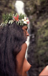 Hawaiian Maiden Hawaiian Maiden