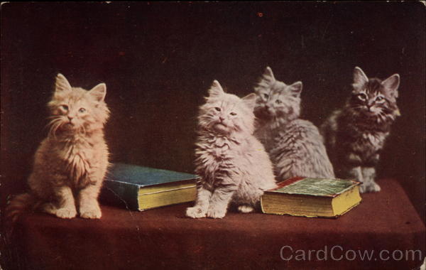 Four Kittens and Two Books on the Table Old Postcard