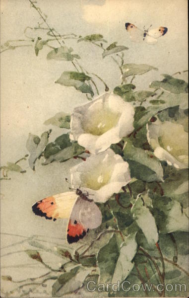 Butterfly on Flowers C. Klein