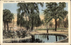 Lynn Common Lynn Common