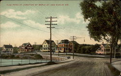 Flax Pond at Junction of Maple St. and Euclid Ave Flax Pond at Junction of Maple St. and Euclid Ave