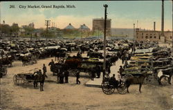 City Market City Market