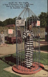 The Bird Cage, at the Old Jail The Bird Cage, at the Old Jail