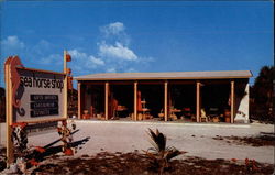 Sea Horse Shop Sea Horse Shop