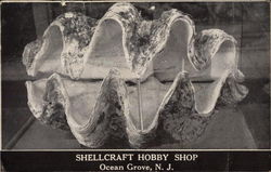 Shellcraft Hobby Shop Shellcraft Hobby Shop