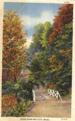 Scene Near Bay City Scene Near Bay City