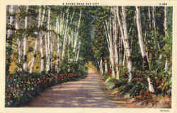 A Scene Near Bay City A Scene Near Bay City