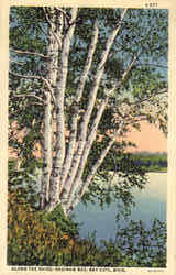 Along The Shire, Saginaw Bay