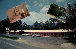 The Pink Motel The Pink Motel