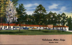 Tallahassee Motor Lodge Tallahassee Motor Lodge