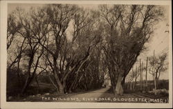 The Willows at Riverdale The Willows at Riverdale
