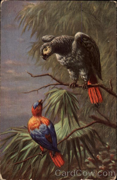 Two Colourful Parrots on Branches Birds