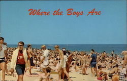 Where the Boys Are Where the Boys Are