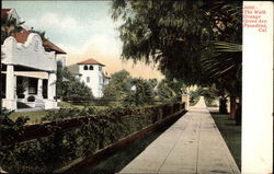 The Walk, Orange Grove Ave The Walk, Orange Grove Ave